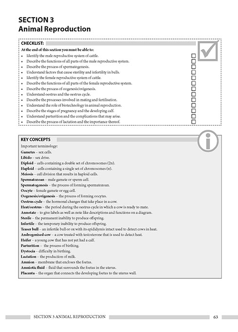 File Icons